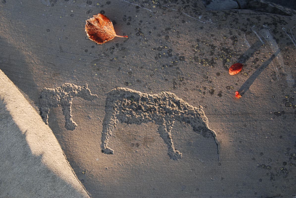 Prehistoric rock carvings at the Alta UNESCO site in Hjemmeluft