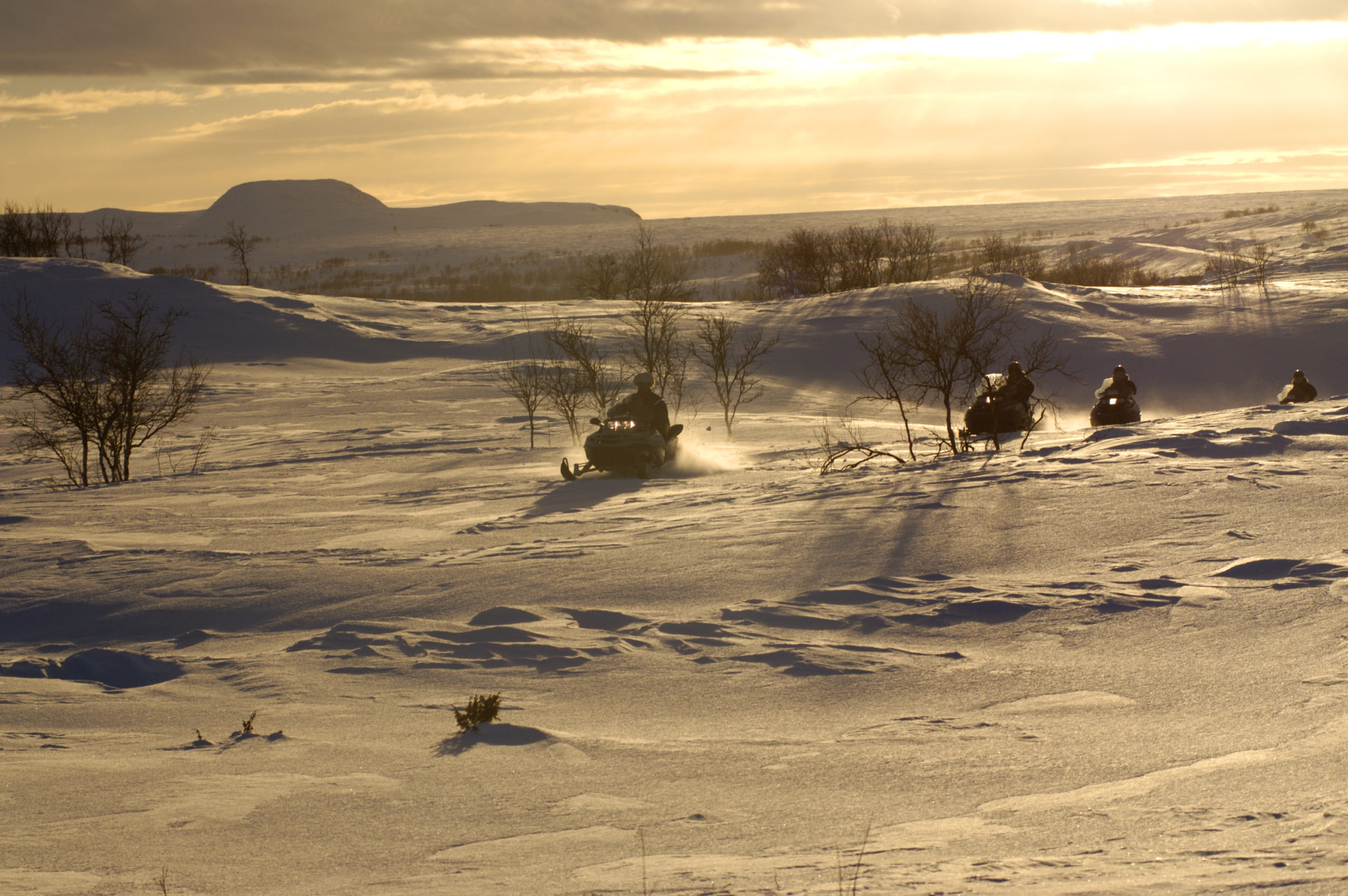 Panorama across the Alta region with glaciated peaks on the horizon