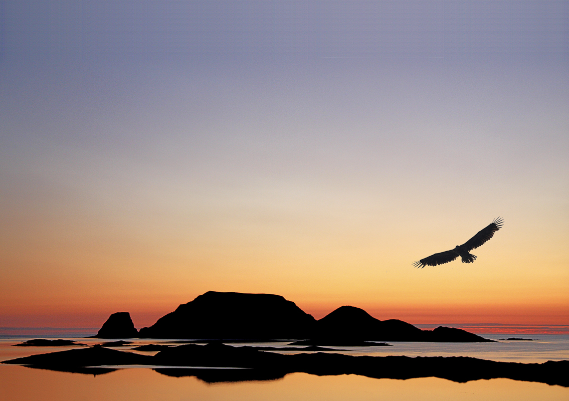 Gjesværstappan seabird colony islands off Magerøya